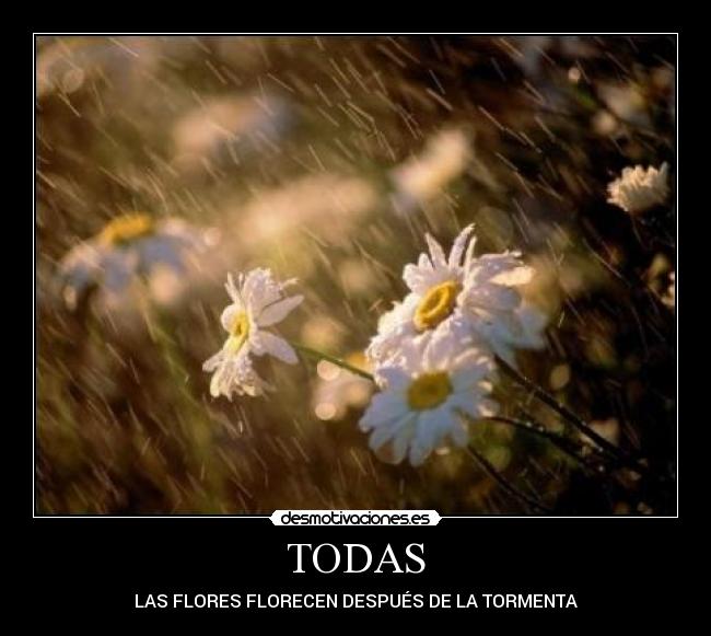 TODAS - LAS FLORES FLORECEN DESPUÉS DE LA TORMENTA