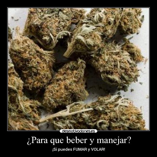 ¿Para que beber y manejar? -