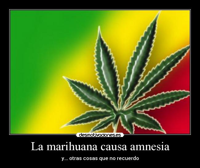 La marihuana causa amnesia - y... otras cosas que no recuerdo