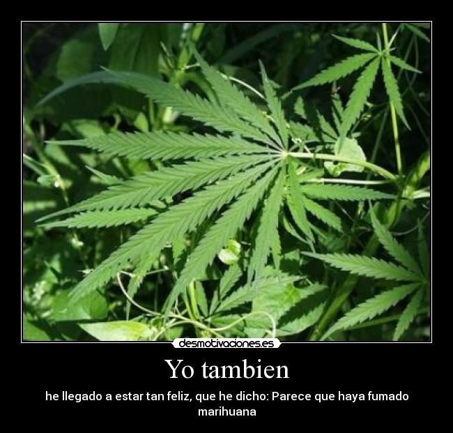 Yo tambien - 