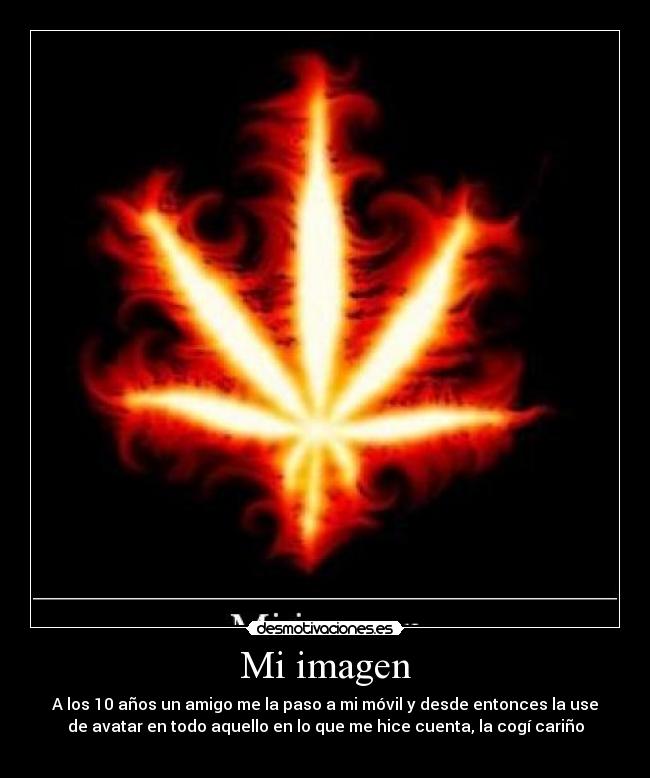 Mi imagen - A los 10 años un amigo me la paso a mi móvil y desde entonces la use
de avatar en todo aquello en lo que me hice cuenta, la cogí cariño