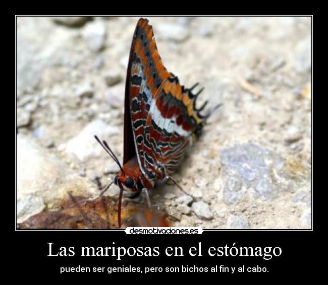 Las mariposas en el estómago - pueden ser geniales, pero son bichos al fin y al cabo.