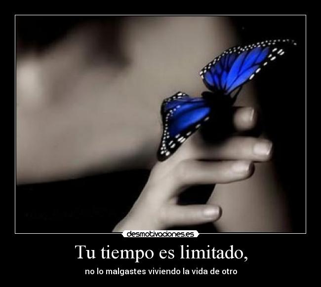 carteles azvosi desmotivaciones