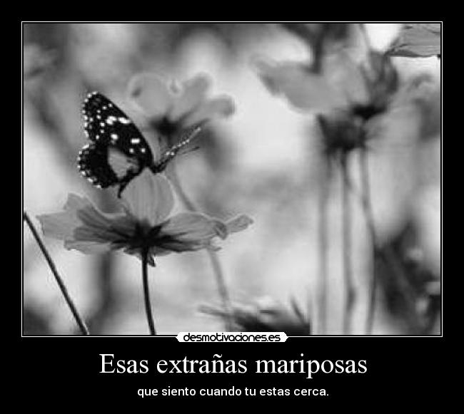 Esas extrañas mariposas - que siento cuando tu estas cerca.