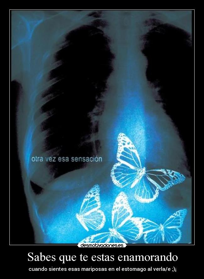 Sabes que te estas enamorando - cuando sientes esas mariposas en el estomago al verla/e ;)¡