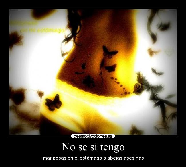 No se si tengo - mariposas en el estómago o abejas asesinas