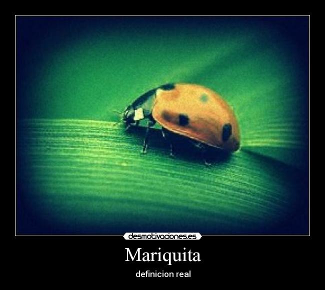 Mariquita - 