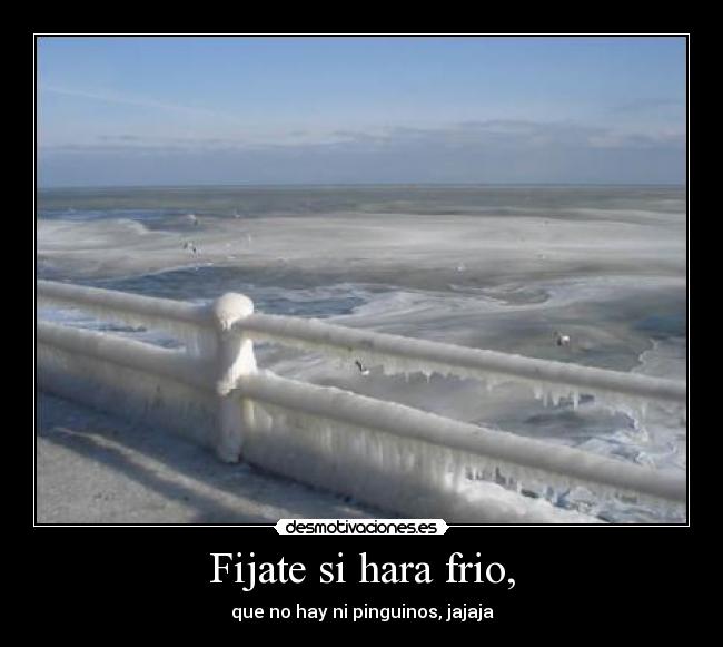 Fijate si hara frio, - que no hay ni pinguinos, jajaja