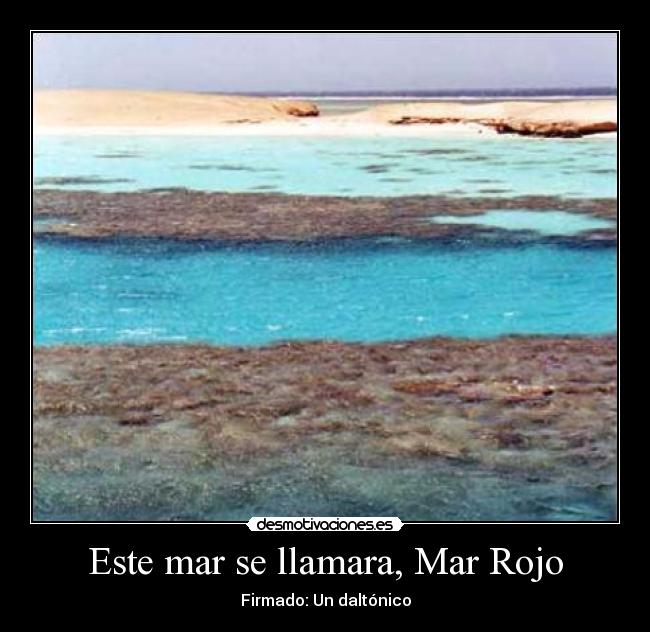 Este mar se llamara, Mar Rojo - 