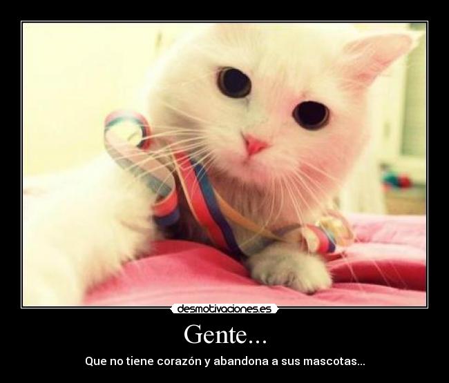 Gente... -