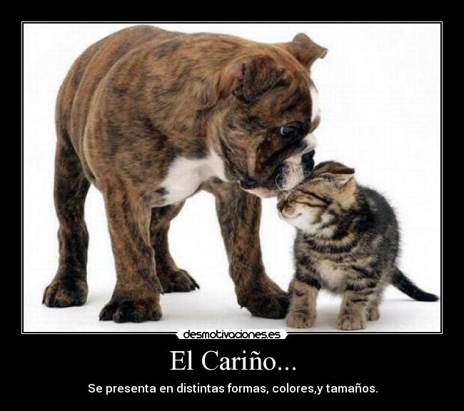 El Cariño... -