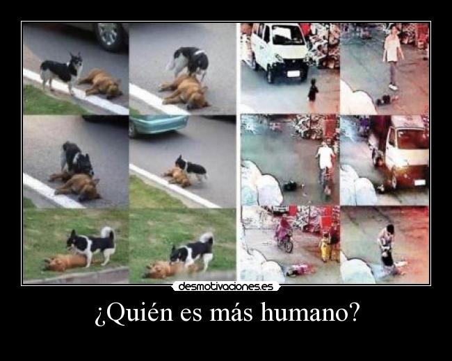 ¿Quién es más humano? - 