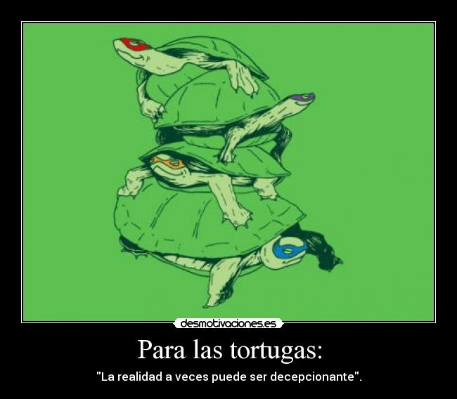 Para las tortugas: - 