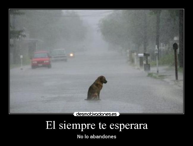 El siempre te esperara - 
