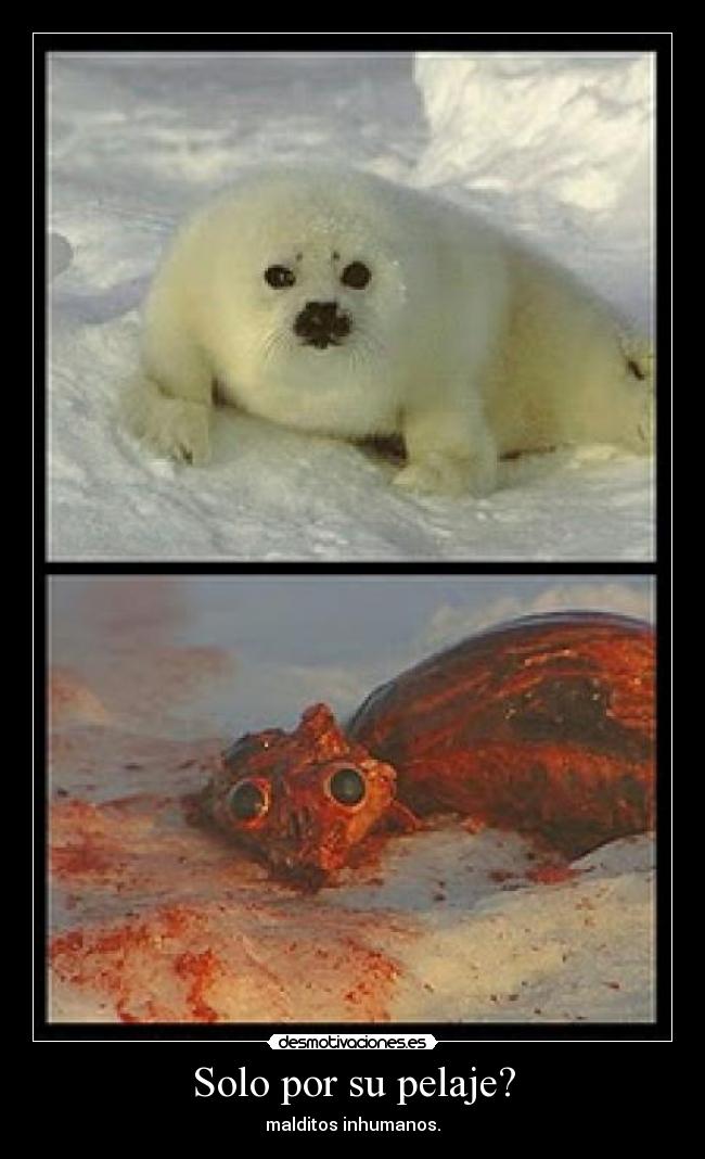 carteles stephy alvarado desmotivaciones