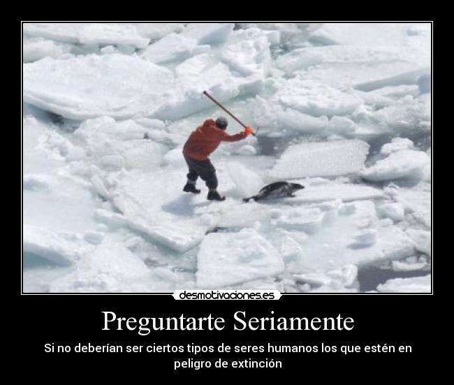 carteles humanos peligro extincion focas malditos desmotivaciones