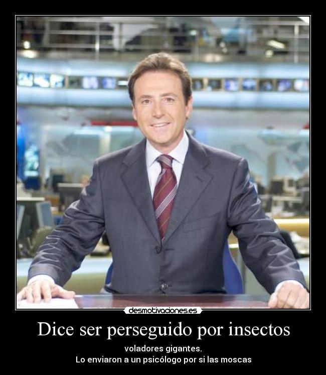 Dice ser perseguido por insectos - 