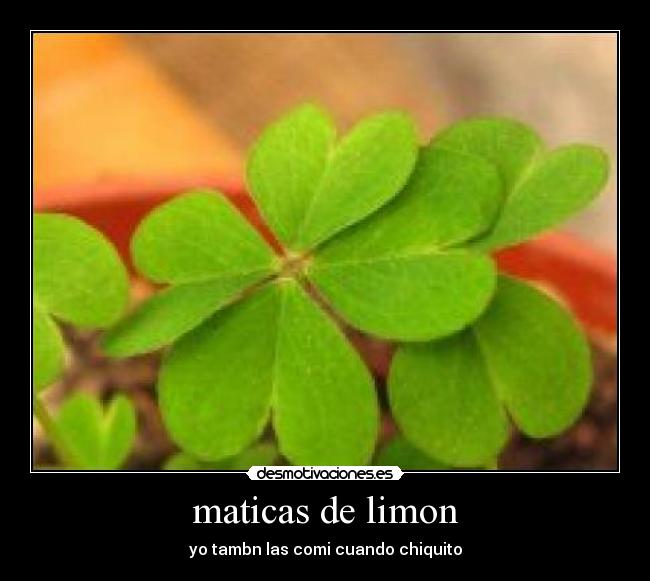maticas de limon - yo tambn las comi cuando chiquito
