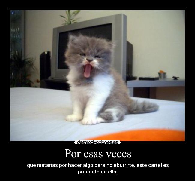 Por esas veces - que matarías por hacer algo para no aburrirte, este cartel es producto de ello.