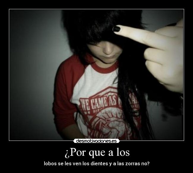 ¿Por que a los - lobos se les ven los dientes y a las zorras no?