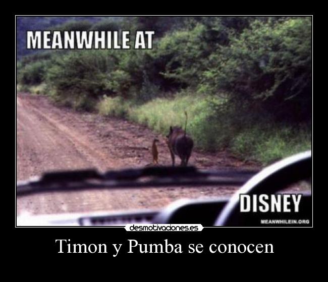 Timon y Pumba se conocen -