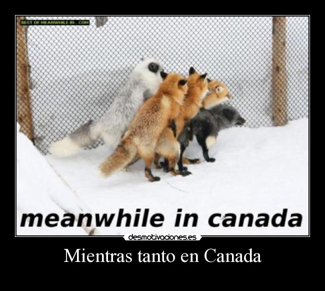 Mientras tanto en Canada -