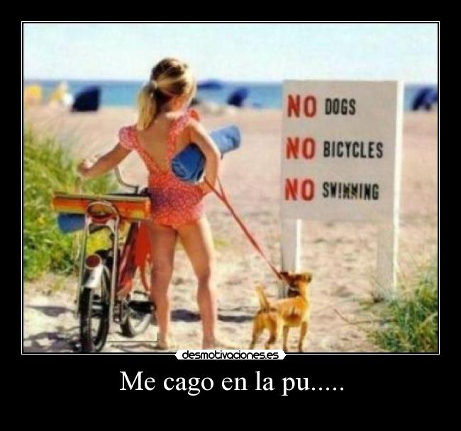 carteles prohibiciones desmotivaciones