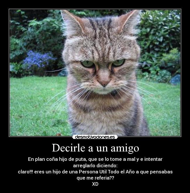 Decirle a un amigo - En plan coña hijo de puta, que se lo tome a mal y e intentar
arreglarlo diciendo:
claro!!! eres un hijo de una Persona Util Todo el Año a que pensabas
que me referia??
XD