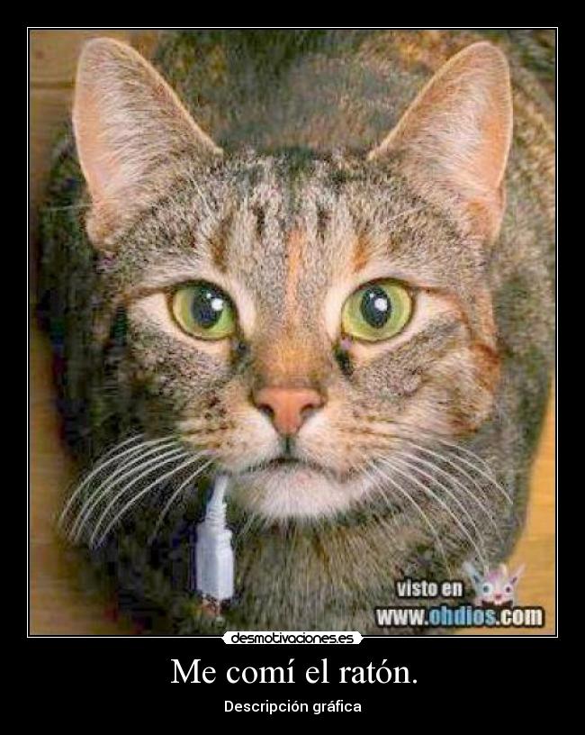 Me comí el ratón. -