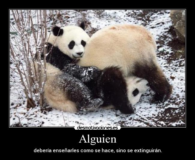 Alguien -