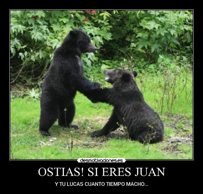 OSTIAS! SI ERES JUAN - Y TU LUCAS CUANTO TIEMPO MACHO...