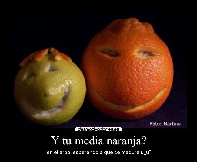 Y tu media naranja? - en el arbol esperando a que se madure u_u