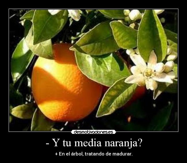 - Y tu media naranja? -