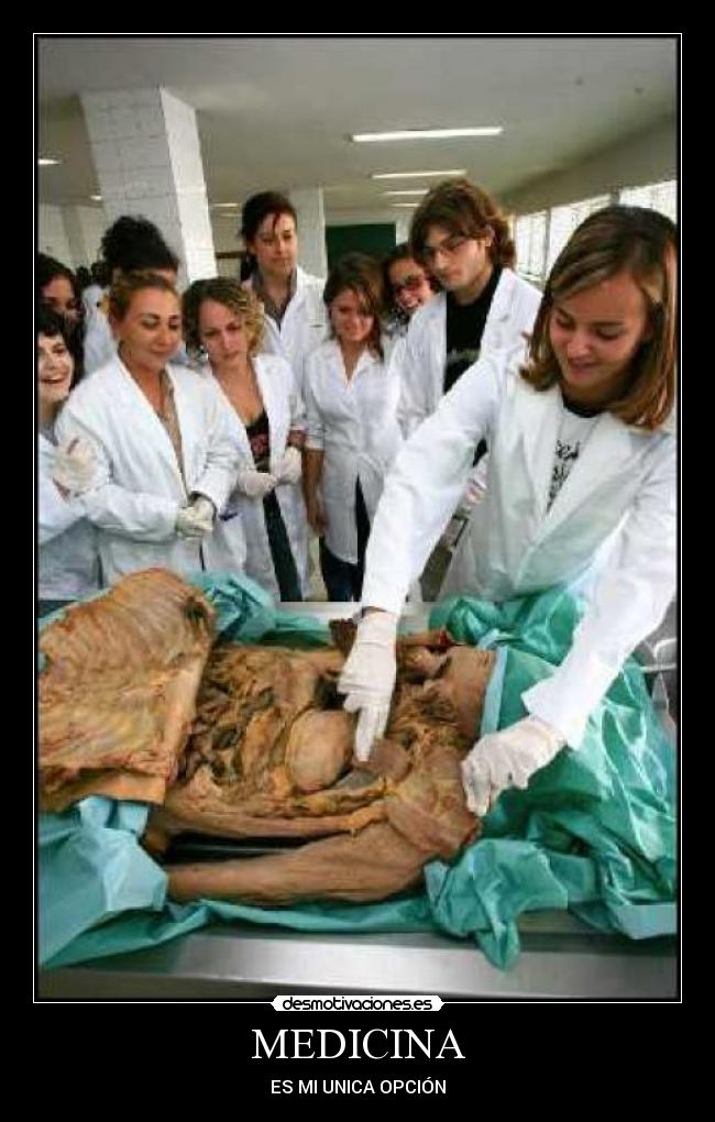 carteles medicina desmotivaciones