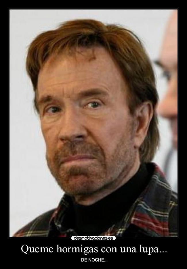 Queme hormigas con una lupa... - DE NOCHE..