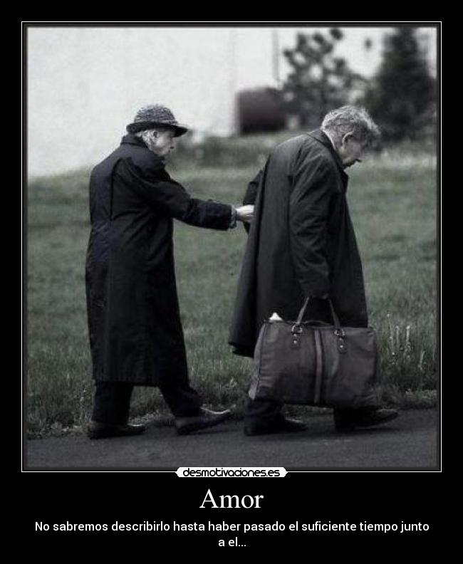 Amor - No sabremos describirlo hasta haber pasado el suficiente tiempo junto a el...