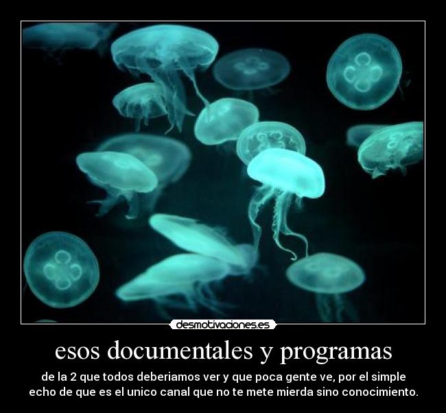 esos documentales y programas - de la 2 que todos deberiamos ver y que poca gente ve, por el simple
echo de que es el unico canal que no te mete mierda sino conocimiento.