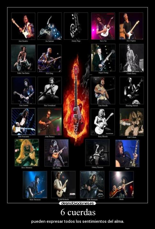 6 cuerdas -