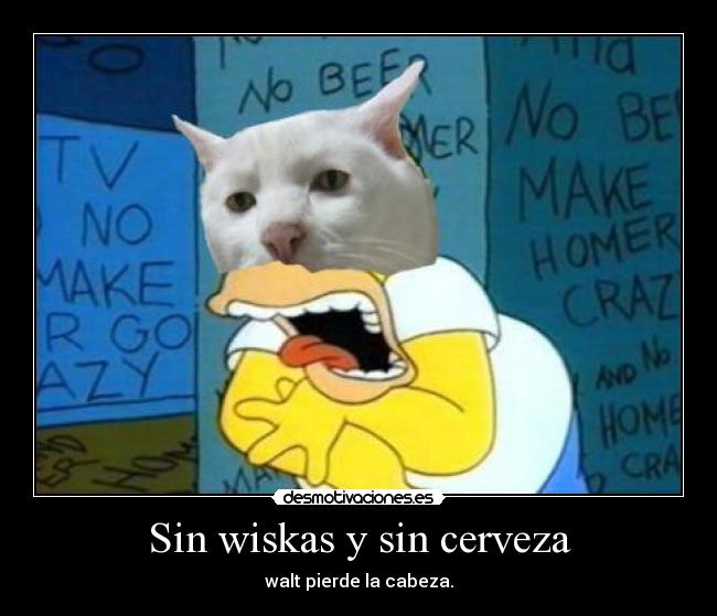 Sin wiskas y sin cerveza - walt pierde la cabeza.