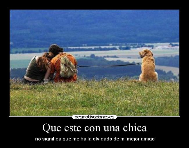 carteles amigos olvidan desmotivaciones