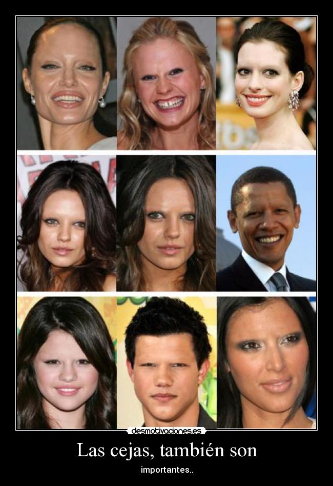 Las cejas, también son -