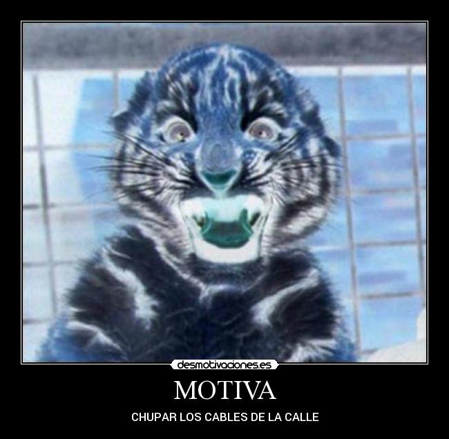 MOTIVA - CHUPAR LOS CABLES DE LA CALLE