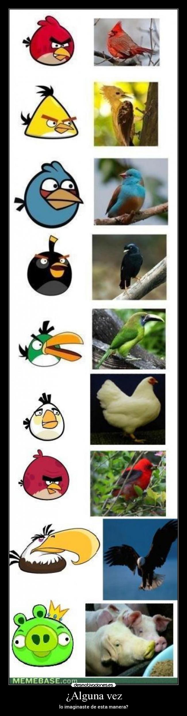 ¿Alguna vez - lo imaginaste de esta manera?