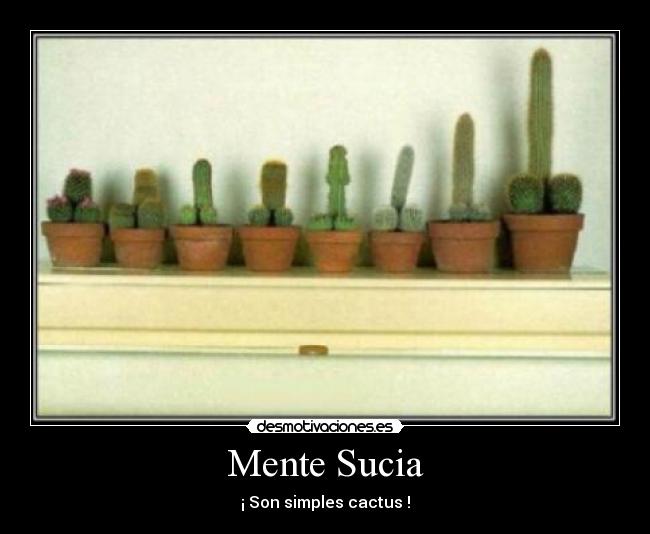 Mente Sucia - ¡ Son simples cactus !