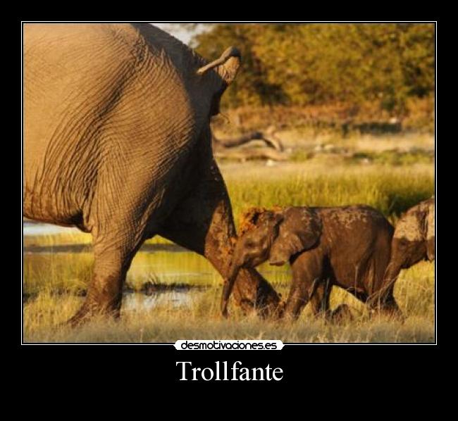 carteles troll desmotivaciones