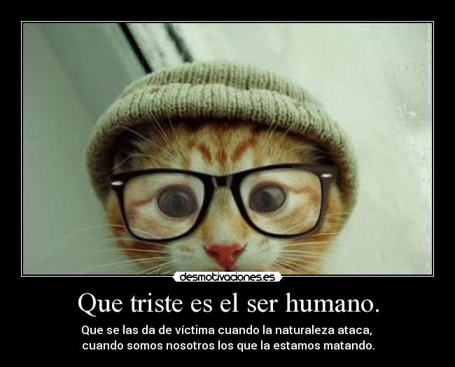 Que triste es el ser humano. - 