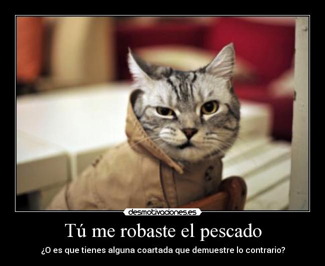 Tú me robaste el pescado - ¿O es que tienes alguna coartada que demuestre lo contrario?