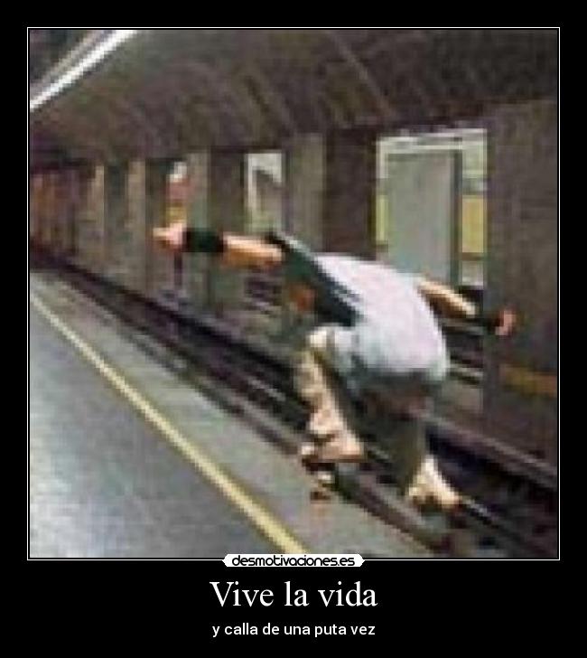 carteles vida vida puta vez calla desmotivaciones