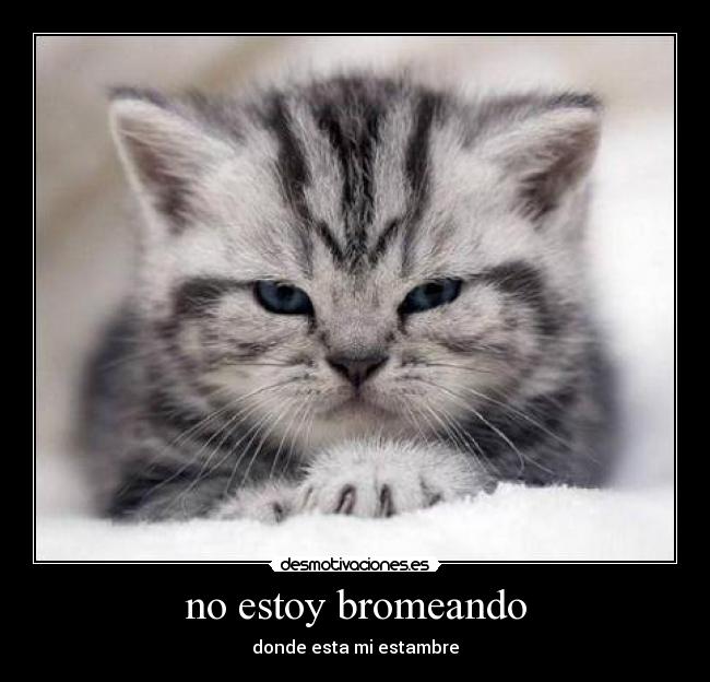 no estoy bromeando - donde esta mi estambre