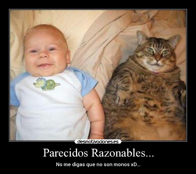 Parecidos Razonables... - No me digas que no son monos xD...